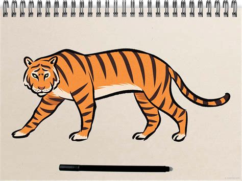 卡通老虎畫法|中国画老虎，简单易学适合儿童和初学者 How to draw a tiger,。